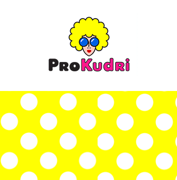 PRO-кудри. Продажа салонного оборудования.